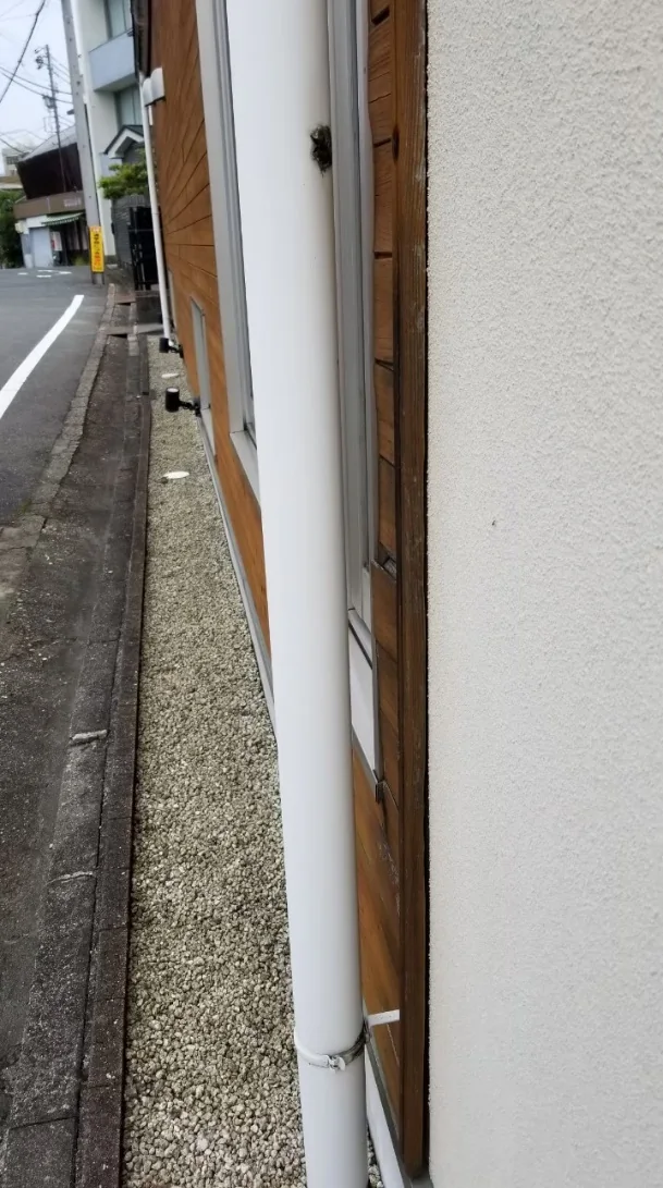 縦樋裏側で破損した杉板外壁