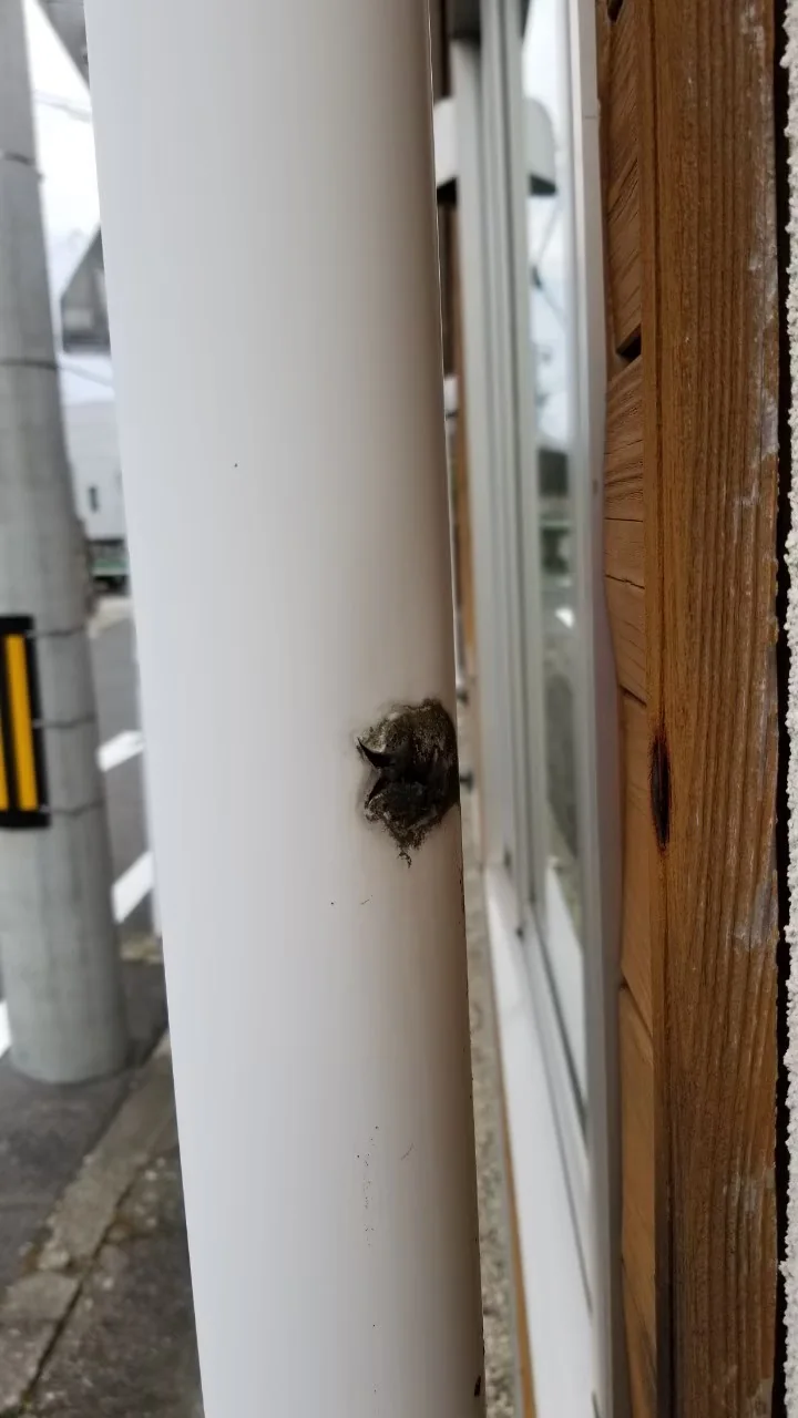 縦樋裏側に確認された穴