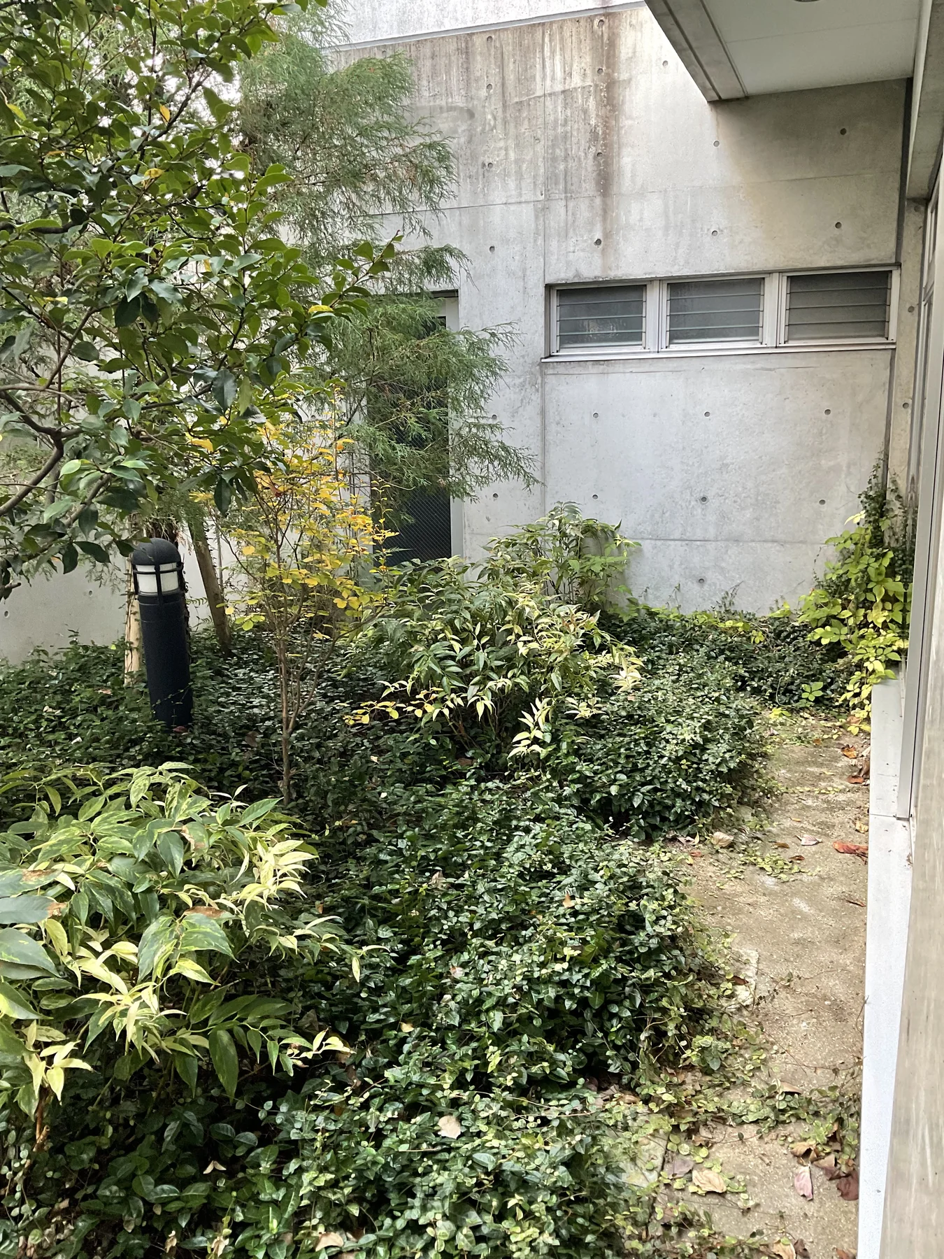 ふくい歯科医院の中庭植栽リフォーム施工前