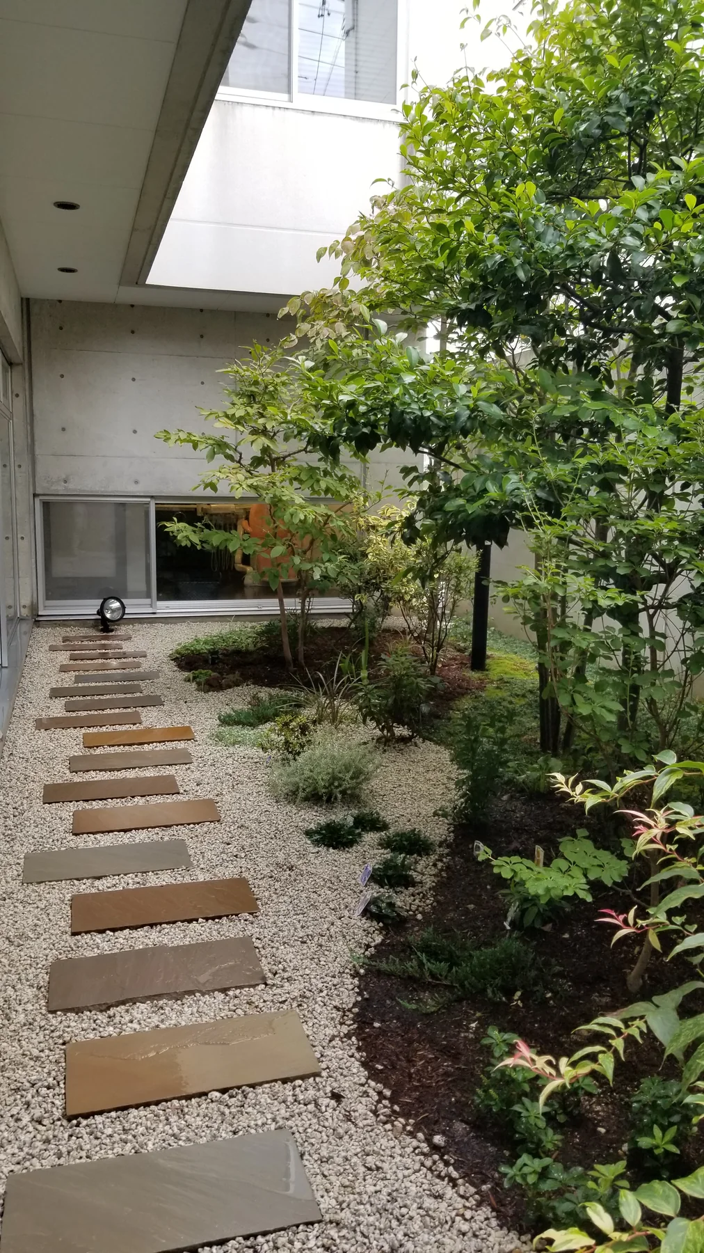 施工後に成長した中庭の植栽