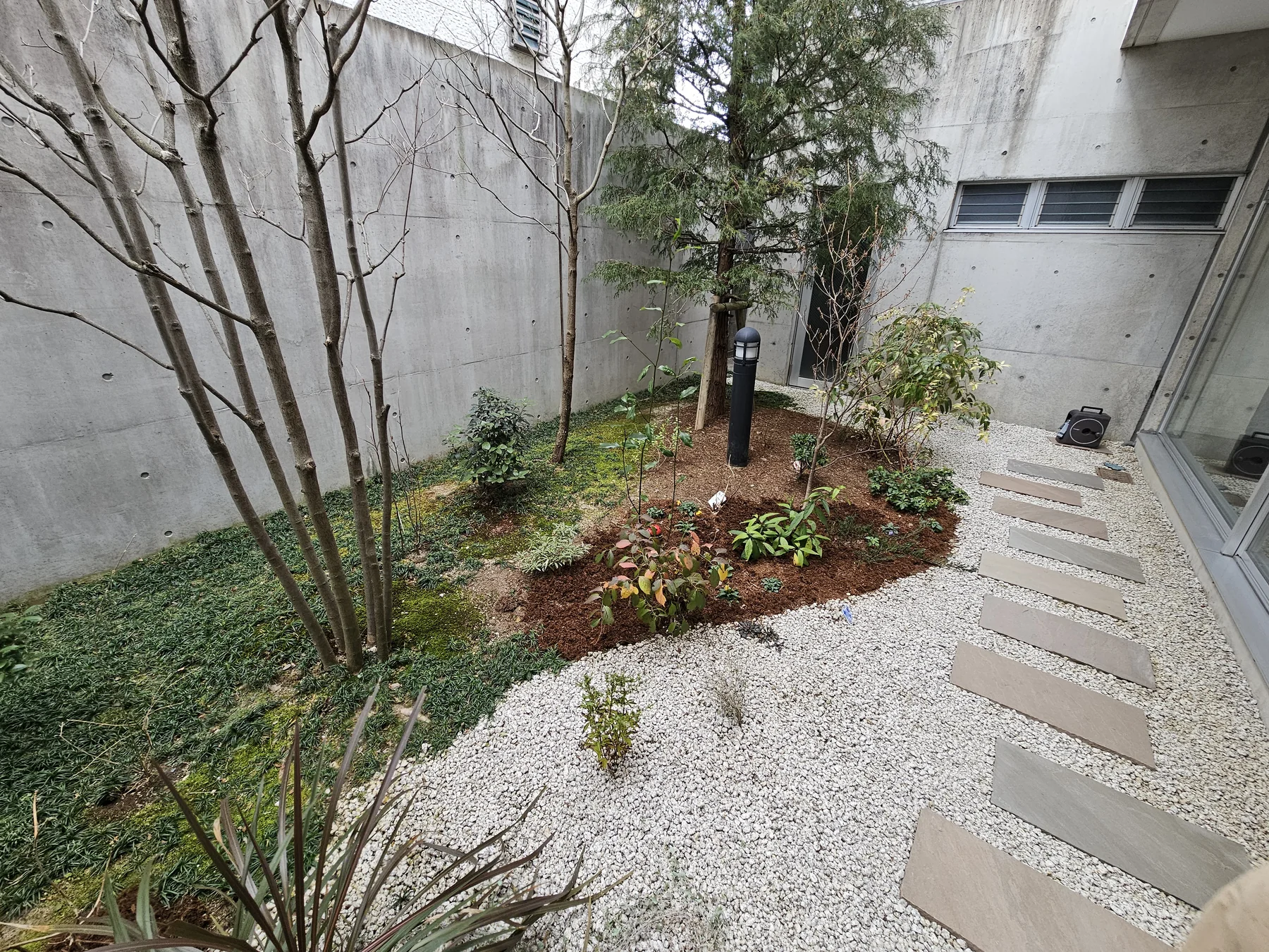 冬季の手入れ後の中庭植栽